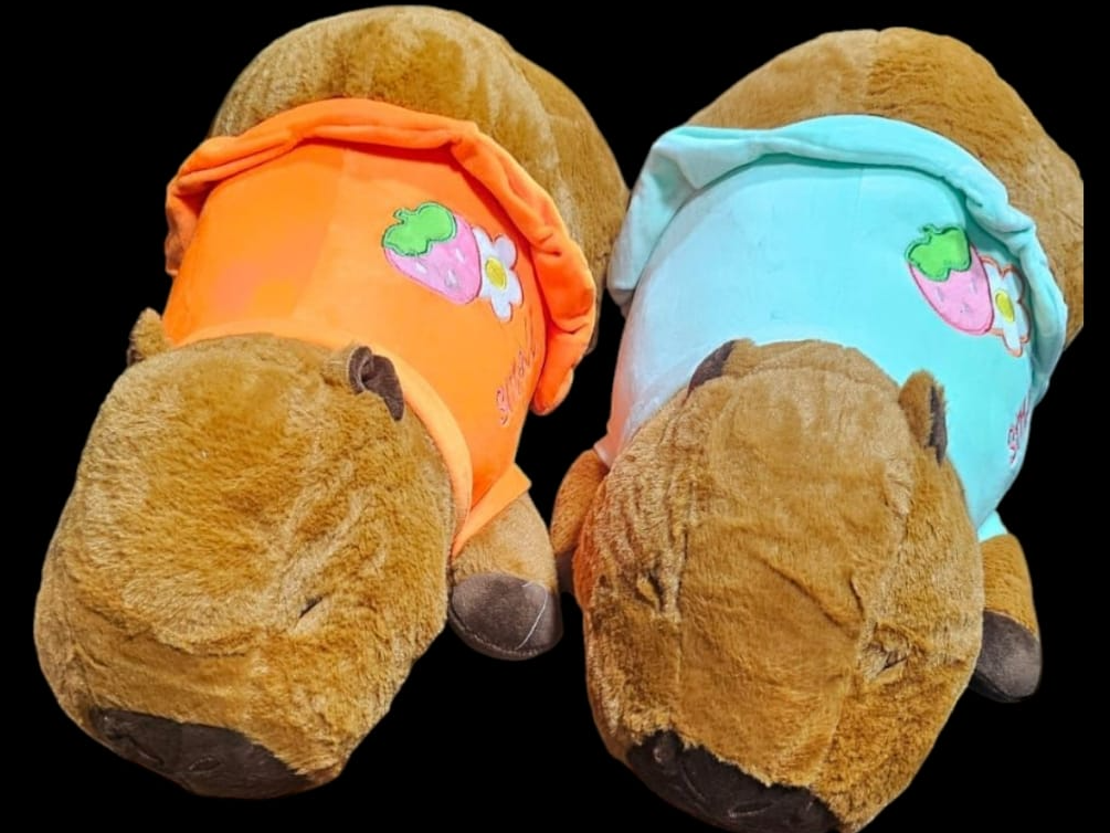 Peluche capibara c/manta