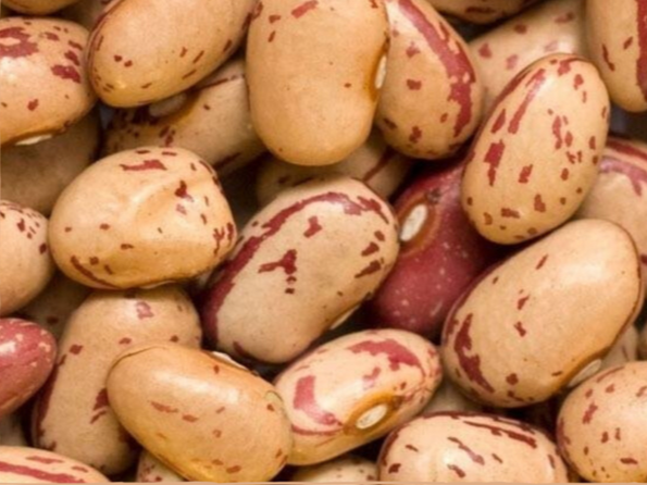 POROTO REGINA X 100 G