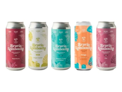 BRAVIA KOMBUCHA X 500 ML