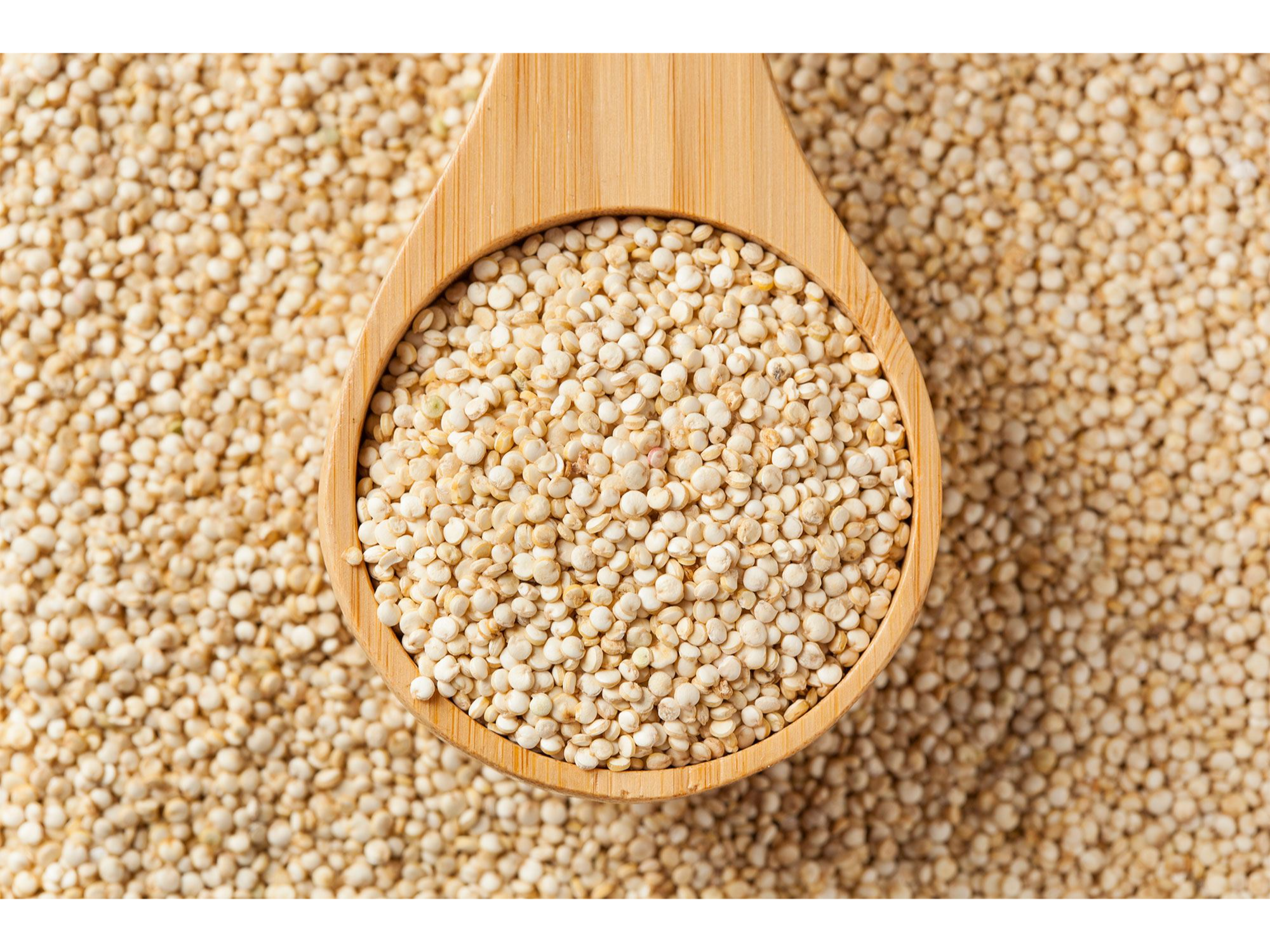 QUINOA X 100 G