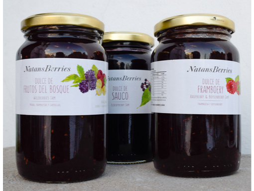 NATANSBERRIES DULCE 450GR