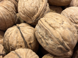 NUEZ CON CASCARA X 100 G