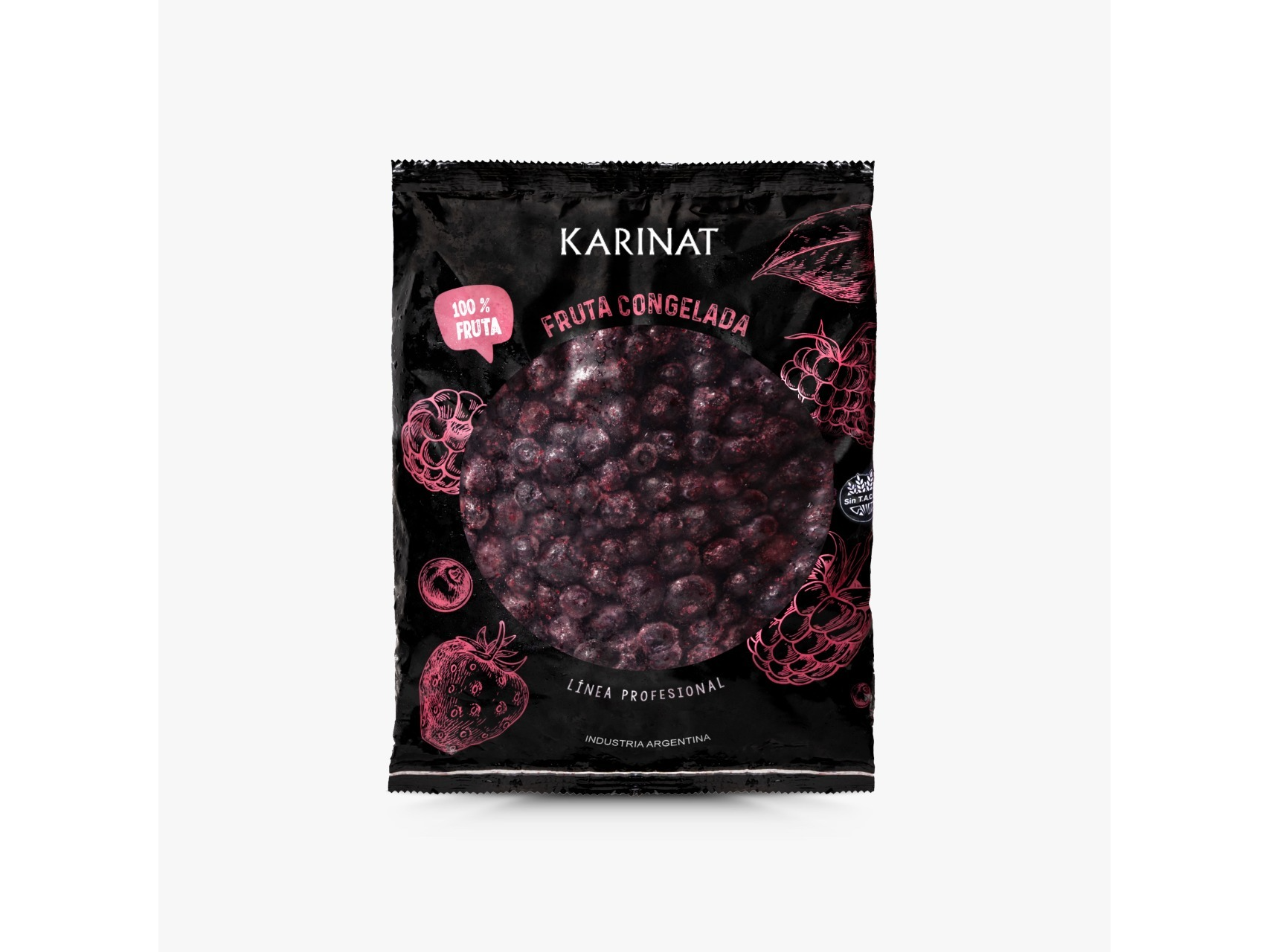 KARINAT ARANDANOS 1KG