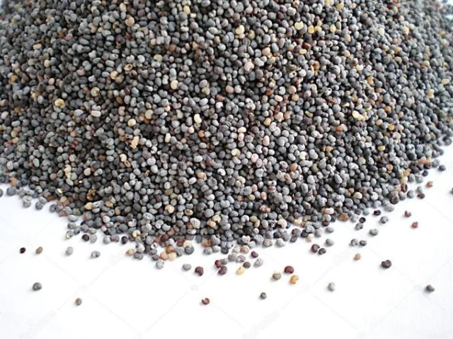 SEMILLAS DE AMAPOLA X 100 G