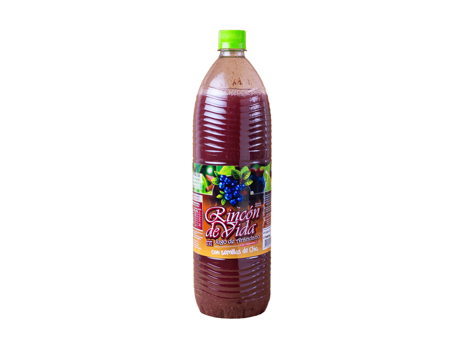 RINCON DE VIDA JUGO DE ARÁNDANOS