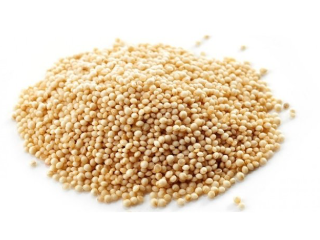SEMILLA DE AMARANTO X 100 G