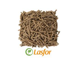 BASTONCITOS DE SALVADO 250G LASFOR