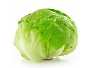 LECHUGA REPOLLADA POR kg