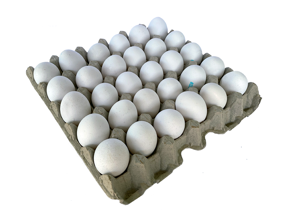 HUEVO BLANCO X30