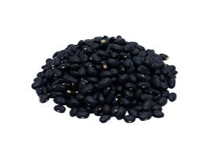 POROTO NEGRO