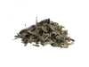 SALVIA OFFICINALIS