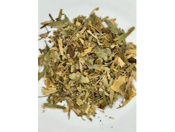 GINKGO BILOBA