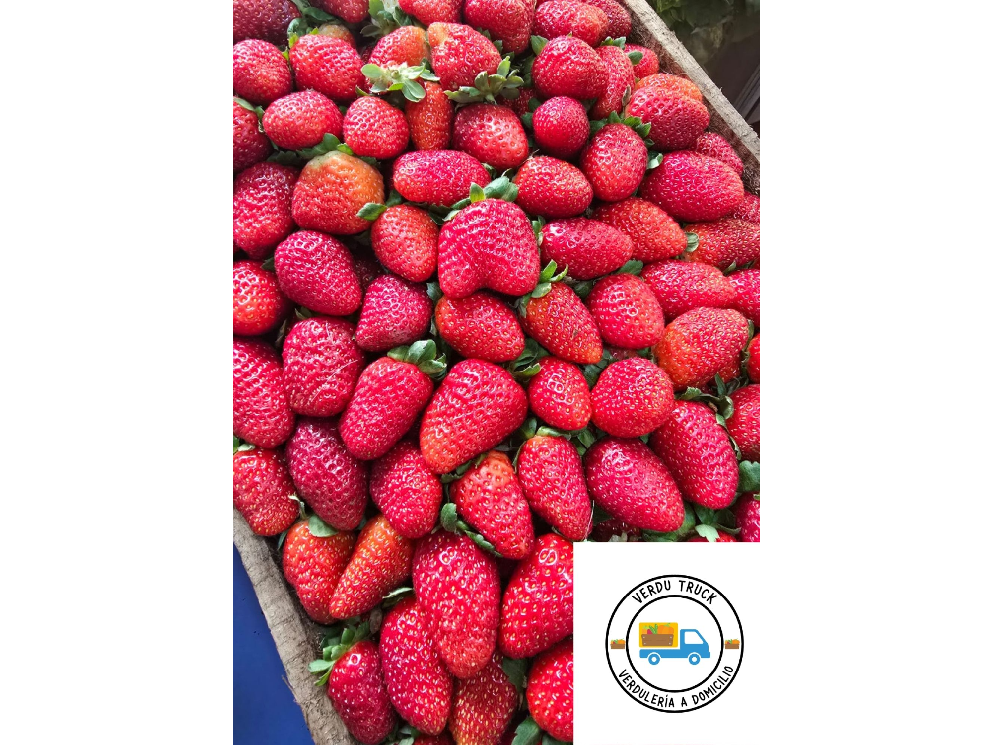 FRUTILLAS