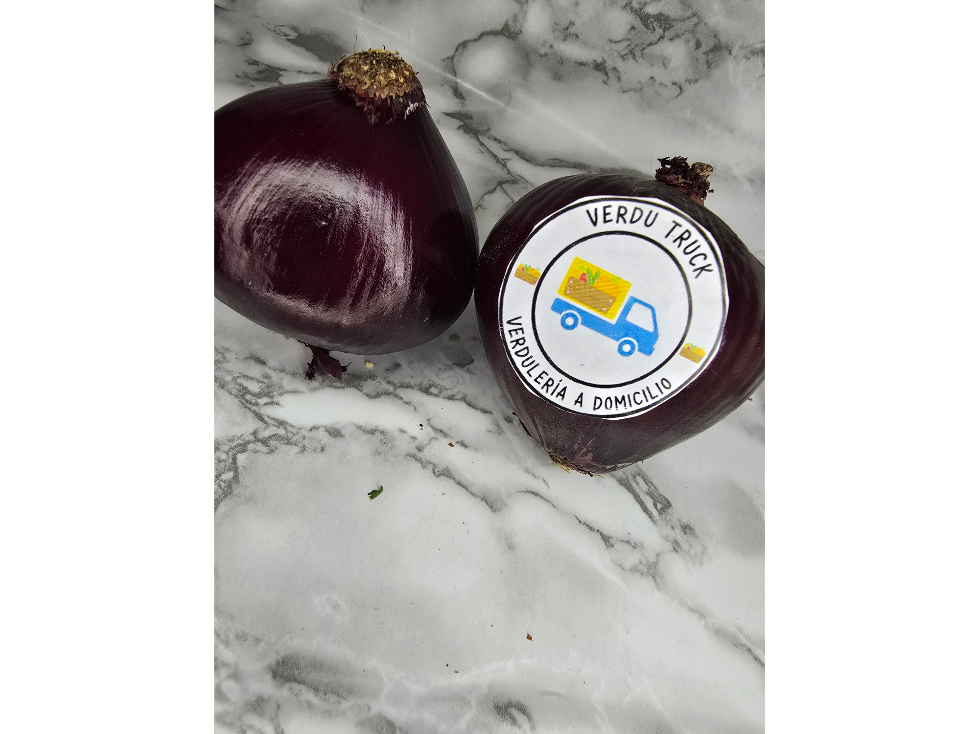 CEBOLLA MORADA