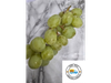 UVA BLANCA