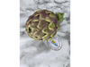 ALCAUCIL