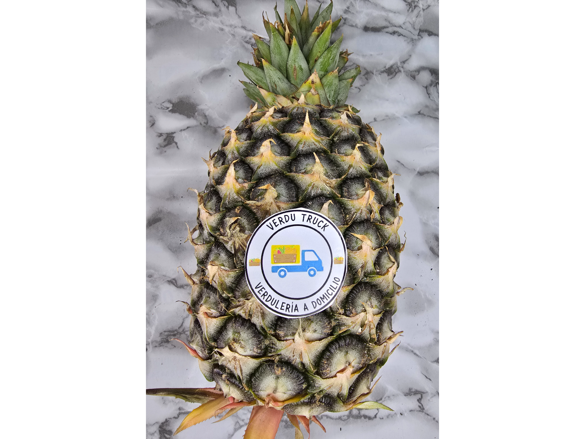 PIÑA