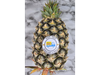 PIÑA