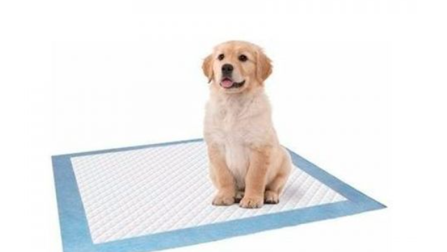 PAÑOS PARA MASCOTAS  ADIESTRAMIENTO