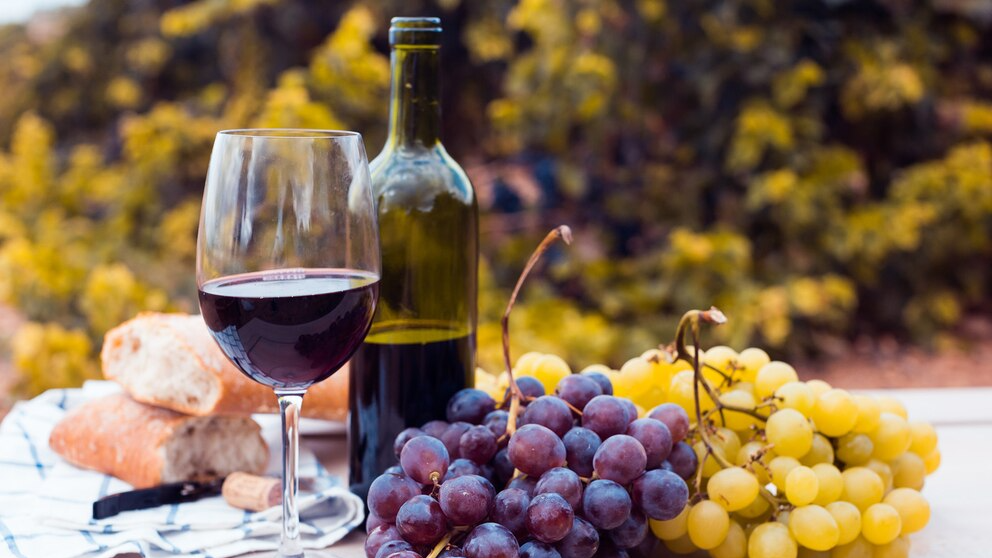 Vinos