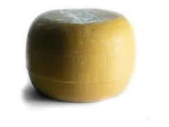 QUESO SARDO X 3 KG