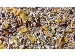 GRANOLA ENERGÉTICA X 500 GRS