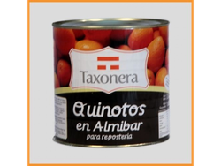 QUINOTOS EN ALMIBAR TAXONERA X 3,1 KG