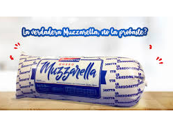 QUESO MOZZARELLA LA CANZONETTA X 5 KG.