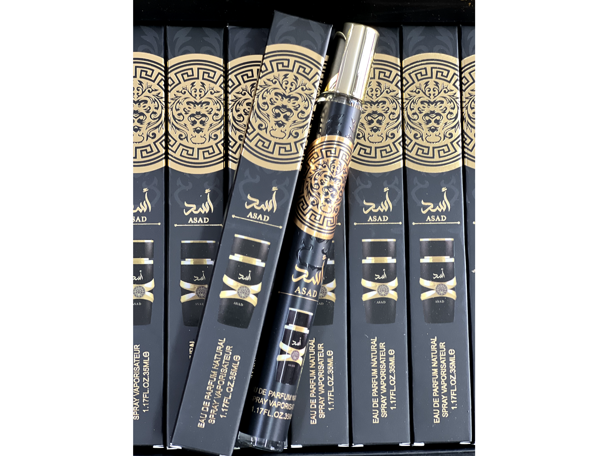 Asad Negro (Masculino)