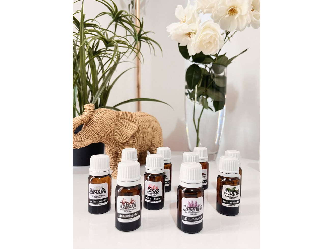PACK X24 UNI Aceite para Hornillo
