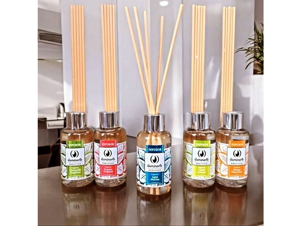 PACK X12UNI Difusor x60ml