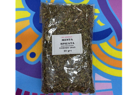 MENTA SPICATA cod1463