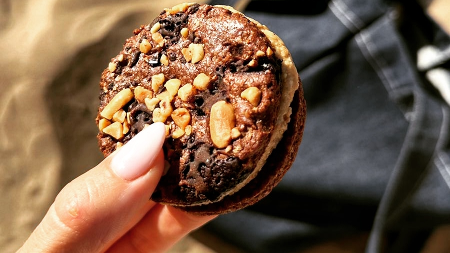 Magui Fit Food Protein