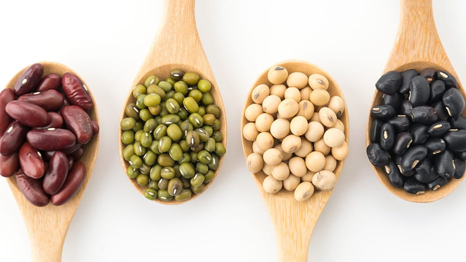 ARROCES, LEGUMBRES y DERIVADOS