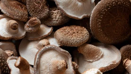 SALES, ESPECIAS Y HIERBAS