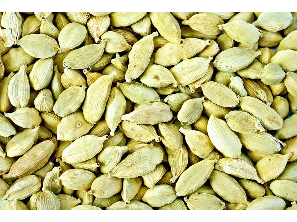 Semilla de cardamomo