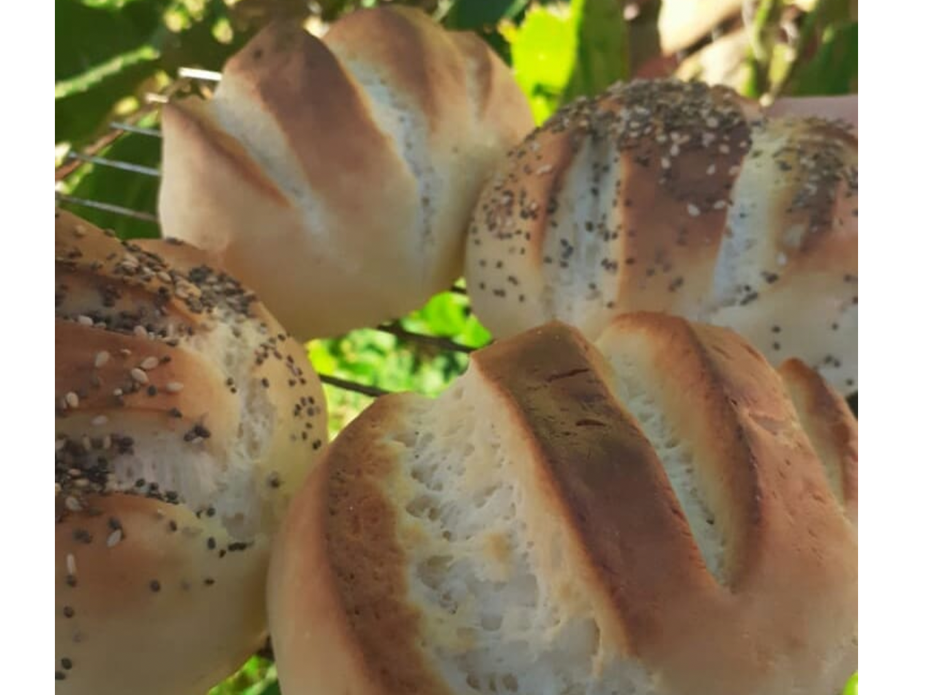 Sandwich pan tipo casero de Jamón y queso