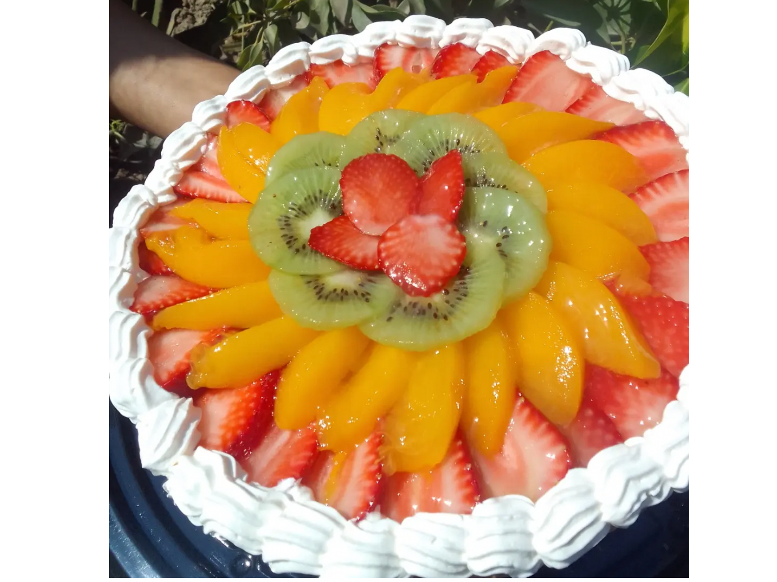 Tarta frutal con crema 22cm