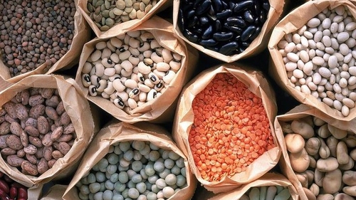 LEGUMBRES - CEREALES