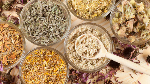 HONGOS - HIERBAS MEDICINALES