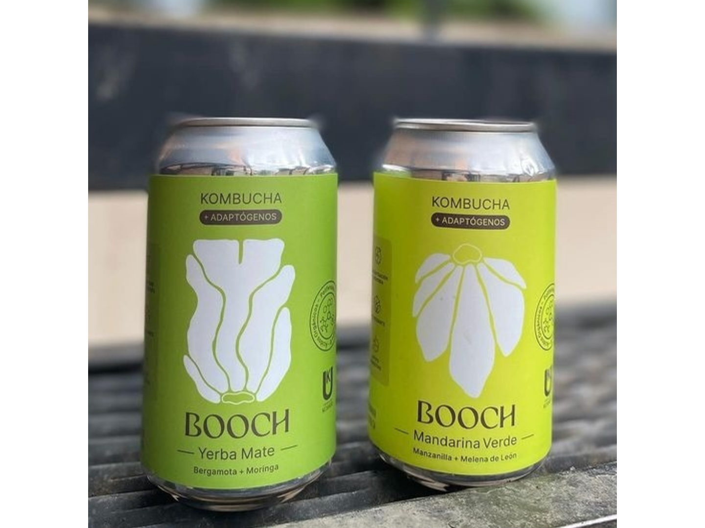 KOMBUCHAS+ADAPTOGENOS X354ML- BOOCH