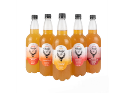 KEFIR DE AGUA ORGANICO- OKAJE