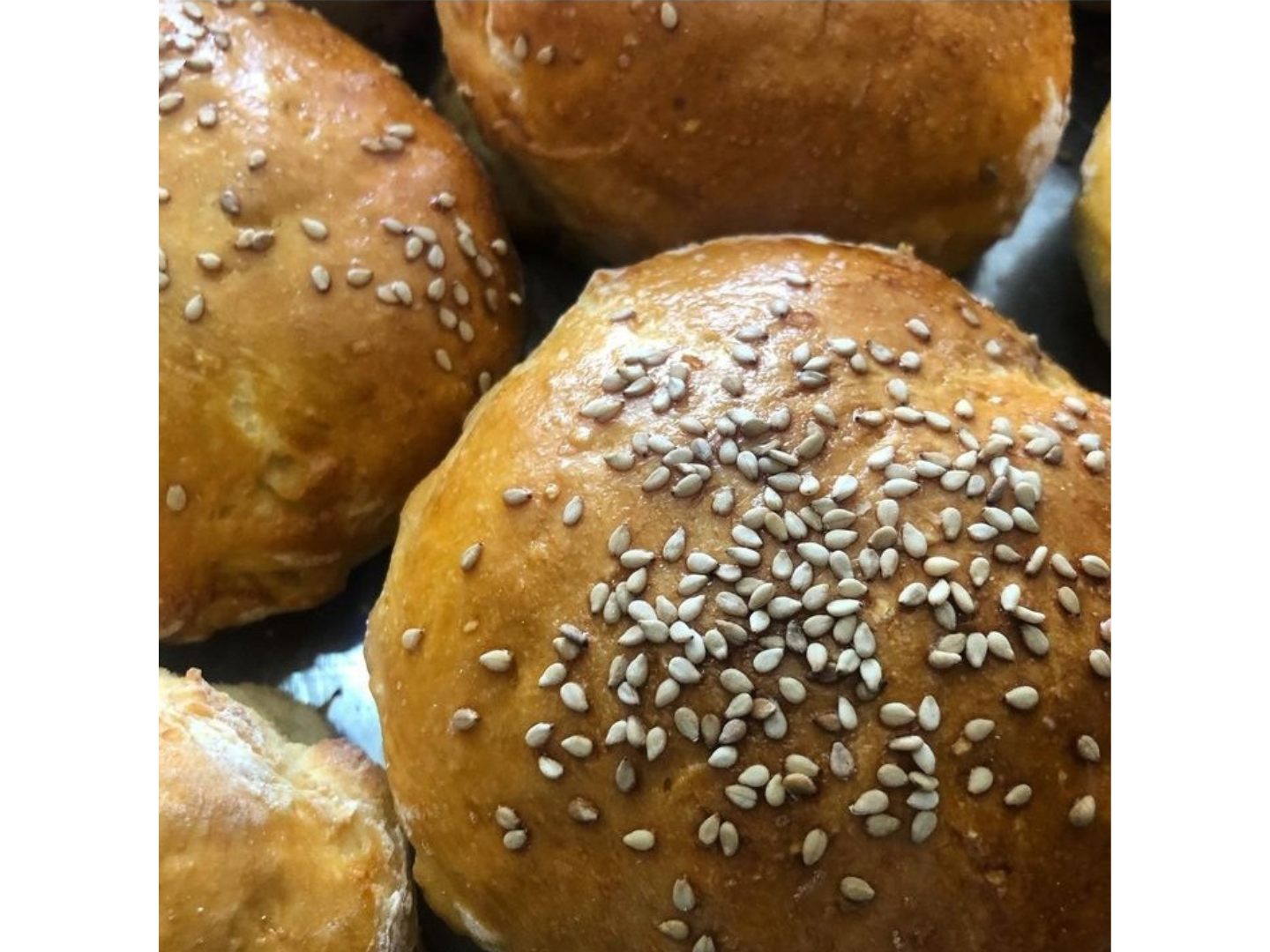 PAN DE HAMBURGUESA SIN TACC XUN