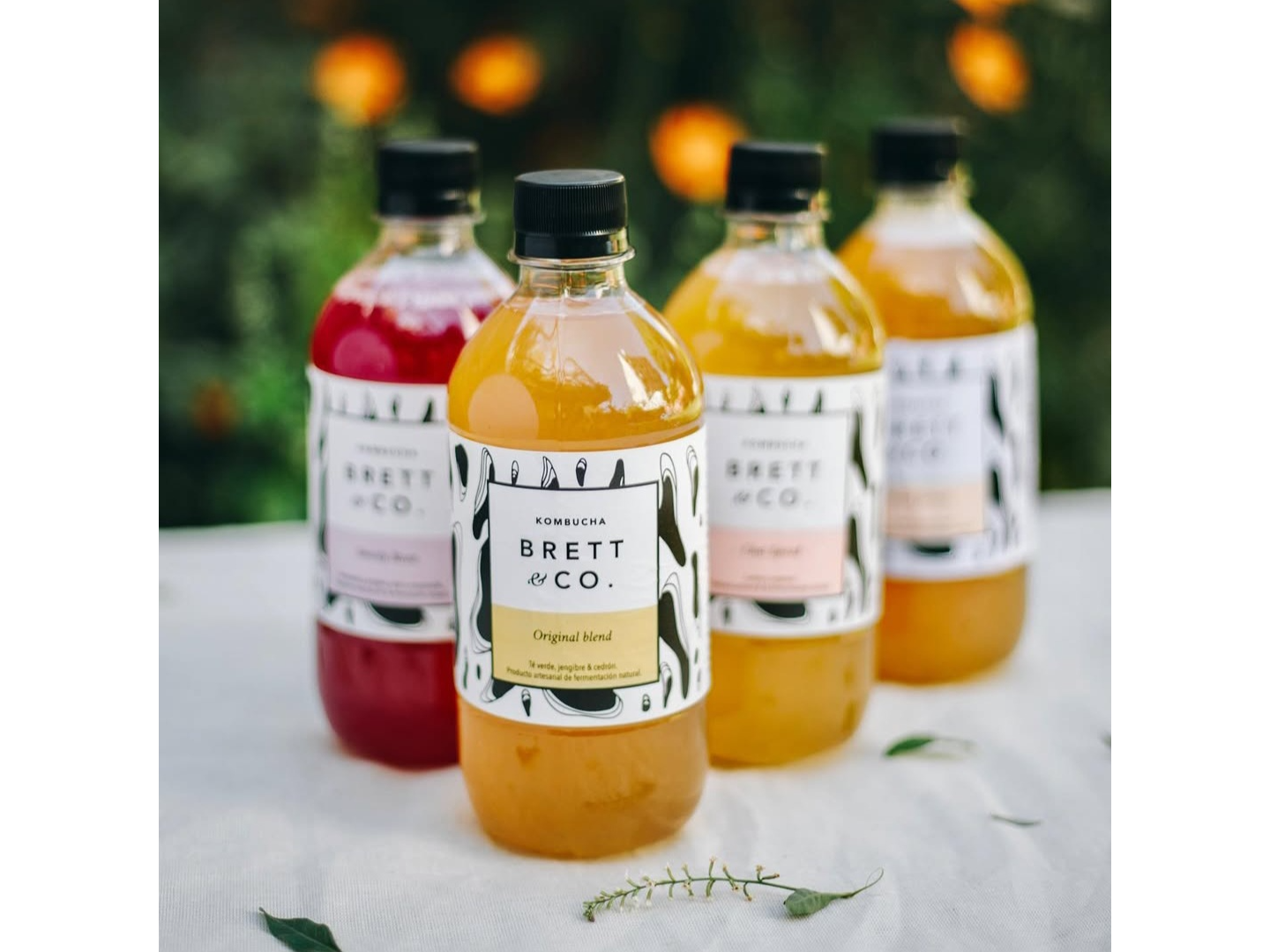 KOMBUCHAS X500ML- BRETT & CO