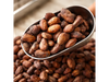 SEMILLAS DE CACAO SIN TOSTAR