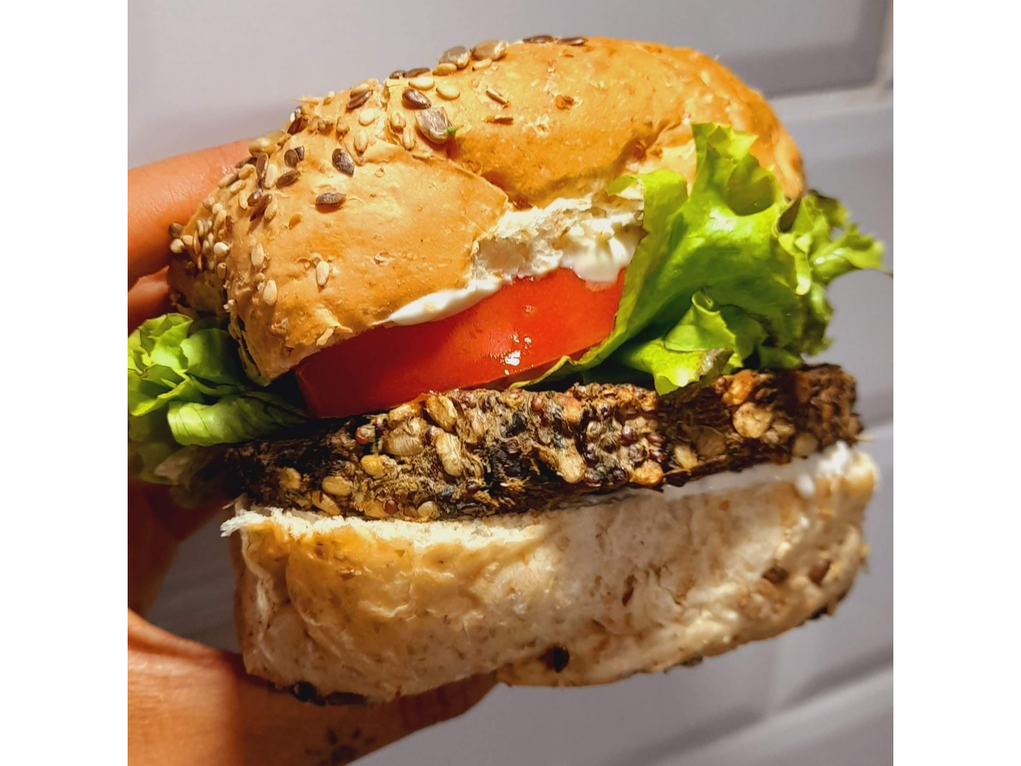 PAN BURGUER PROTEICO CON SEMILLAS X2UN