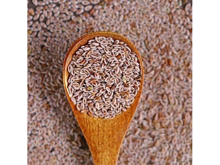 SEMILLAS DE PSYLLIUM X100GR