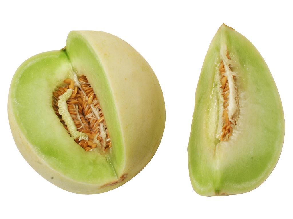 Melón Rocio de miel