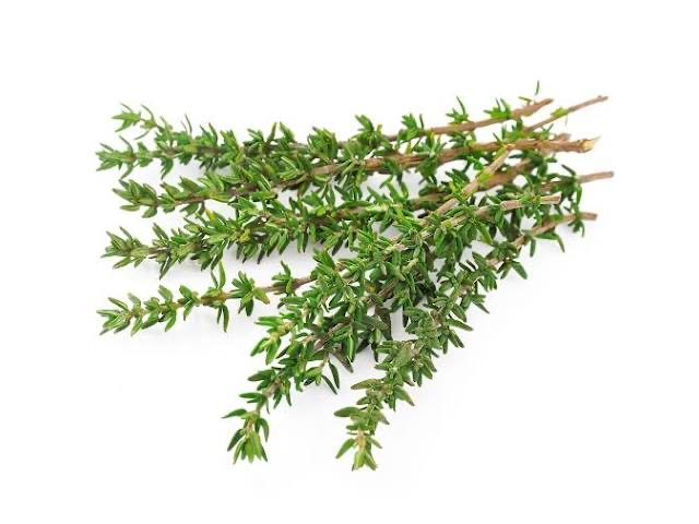 Tomillo