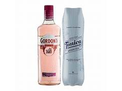 Combo Gordon Pink + Agua Tónica + Hielo
